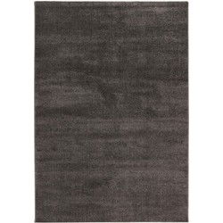 Trendy Home Uni - Modern Vloerkleed - Effen, Laagpolig, Velours, Hoge dichtheid, Soft Touch - Grijs- 120x170 CM