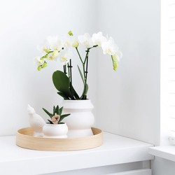 Kolibri Home | Decoratieschaal - Rond egaal bamboe dienblad Ø30cm