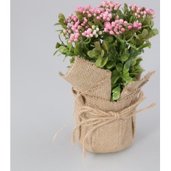 Plantje in jute zak Fleur roze - Oosterik Home