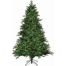Black Box Kunstkerstboom Brampton - 147x147x230 cm - PVC/Polyethyleen - Groen - 320LED