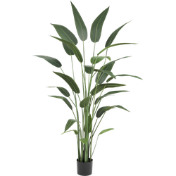 Hoyz Greenery - Kunstplant Heliconia 180 cm