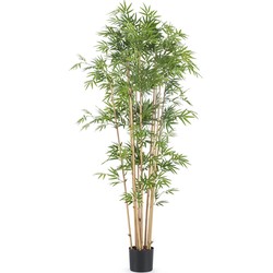 Greenmoods Japanse Bamboe - Phyllostachys edulis - Kunstplant - 1 Stuk - 170cm