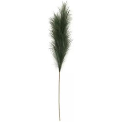 Pampas Gras 60 cm Donker groen kunstplant - Buitengewoon de Boet