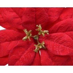 Poinsettia plastic d16h3 cm rood kerst