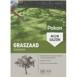 Grassamen Schatten 500 Gramm - Pokon