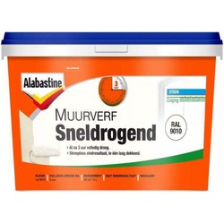 Sneldr. muurverf ral9010 5l