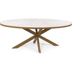 Stalux Ovale eettafel 'Mees' 240 x 110cm, kleur goud / wit marmer