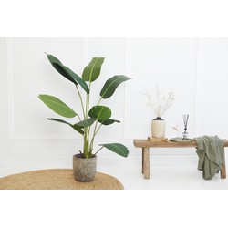 LIFA LIVING Strelitzia Kunstplant, Kunststof Kamerplant, Decoratieve Nepplant, Groene Plant met Pot, Kunstplant voor Binnen, 150 cm
