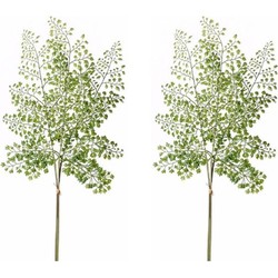 2x Groene kunstplant Adiantum kunst tak van 58 cm - Kunstplanten