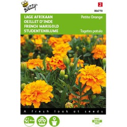 2 stuks - Tagetes patula nana Petite Orange - Buzzy