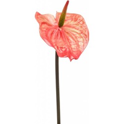 Anthurium spray orange 65 cm kunstbloem zijde nepbloem