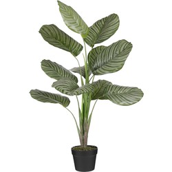 Mica Decorations Calathea Kunstplant - 90x60x90 cm - Polyester - Groen