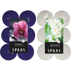 Candles by Spaas geurkaarsen - 24x stuks in 2 geuren Jasmin en Wild Orchid - geurkaarsen