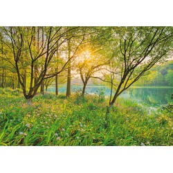 Komar fotobehang Spring Lake groen - 368 x 254 cm - 610987