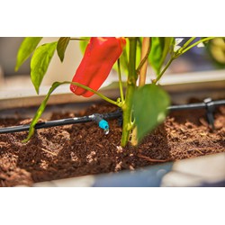 Micro-Drip-Bewatering Terras Set (30 planten)