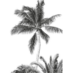 Komar fotobehang Retro Palm zwart wit - 200 x 280 cm - 610833