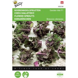 Kalettes Garden Mix F1