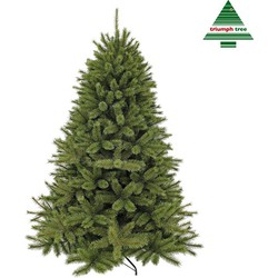 Forest Frosted Pine kunstkerstboom groen d157 h230 cm - Triumph Tree