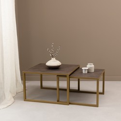 Stalux Salontafelset 'Lisa' 65 en 50cm, kleur goud / lederlook bruin