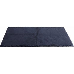 Leisteen serveerplank - 1x stuks - onderzetter - 17 x 34 cm - Serveerplanken