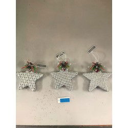 Xmas Star Foam 15 cm 3Ass Silve