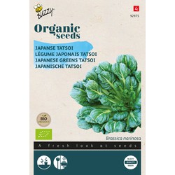 Organic Tatsoi (BIO)