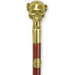 A BRONZE-HANDLED WALKING STICK
