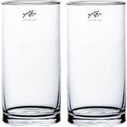 2x Glazen vaas transparant 10 x 20 cm - Vazen