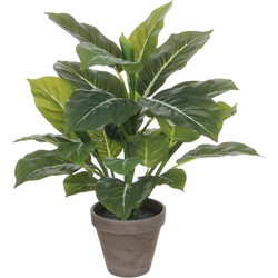 Mica Decorations Evergreen Kunstplant - H49xØ40 cm - Terra pot - Groen