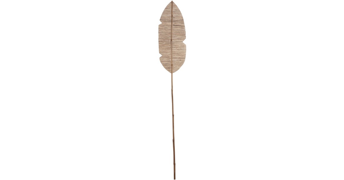 Banana Leaf - 175 cm. hoog