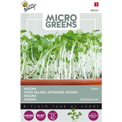 5 stuks - Microgreens Mizuna