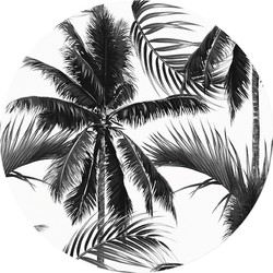 Muurcirkel Palm Black and White