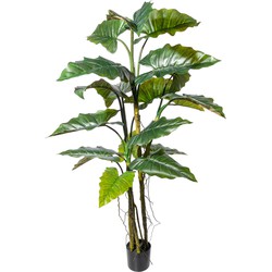 Kopu® Kunstplant Colocasia 180 cm - 19 bladeren - in zwarte pot