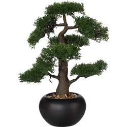 Kopu® Kunstplant Bonsai Ceder 48 cm met zwarte Pot - Bonsai boompje