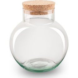 URBANJNGL - Terrarium met kurk - Noah - Gesloten terrarium ↑ 20 cm