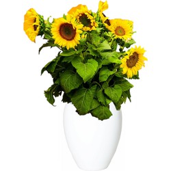 Bloemen vaas - wit - D25 x H28 cm - keramiek - bloemenvaas - bloempot - Vazen