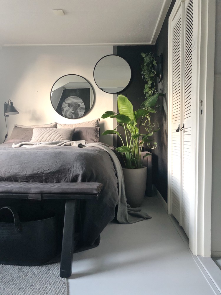 slaapkamer-met-plant