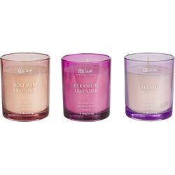 Beliani SHEER JOY - Geurkaars-Roze-Soja wax