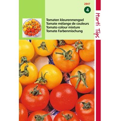 2 stuks - Tomaten Drie Kleuren Mengsel - Hortitops