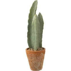 J-line - Cactus 3 Stuks In Pot Plastiek Groen Small - 14x14x47cm