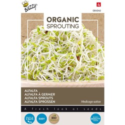 3 stuks - Bio knip en eet alfalfa