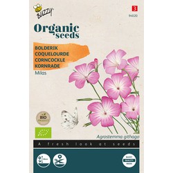 Organic Agrostemma githago, Bolderik BIO - Buzzy