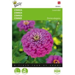 Zaden zinnia lavendel 25 zaden