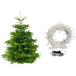 Plant&More - Nordmann Kerstboom 240-270 cm - Met verlichting