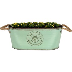 Sunnydays Teil/plantenpot - zink - jadegroen - L35 x D19 x H14 cm - IJzeren emmer / teil