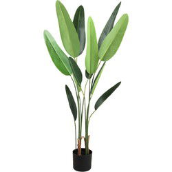 PTMD Kunstplant Boom - 70x80x120 cm - Kunststof - Bruin