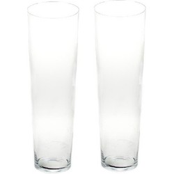 2x Steelbloemen conische vaas glas 60 cm - Vazen