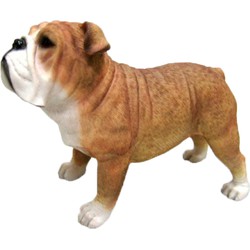 Polystone tuinbeeld Engelse bulldog hondje 9 cm - Beeldjes