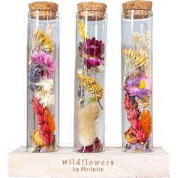 3x Droogbloemen in glas – Meerkleurig –  Incl. fles – Maat L –  ↕15 cm