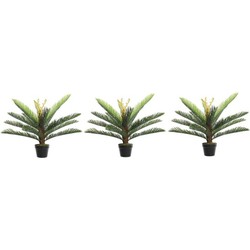 3x Groene boomvarens grasplant kunstplanten 75 cm met zwarte pot - Kunstplanten